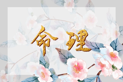 2002年04月21日五行八字命运查询 五行缺什么